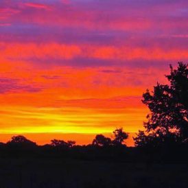 How to Save Thousands When You or a Loved One Dies Image